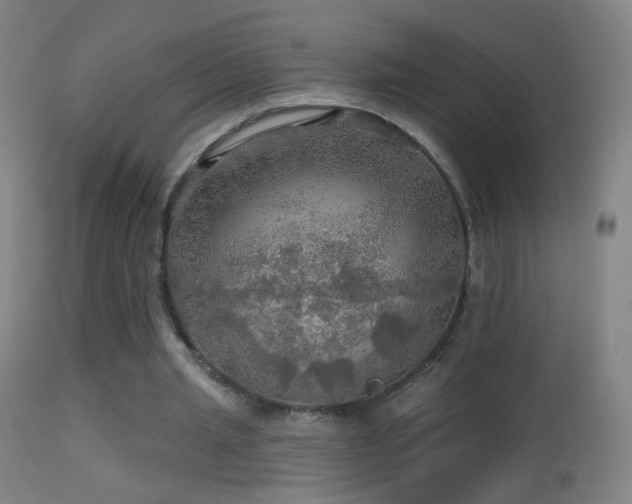 X0000114650437200910201512