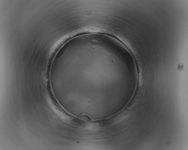 X0000114650438200910201512