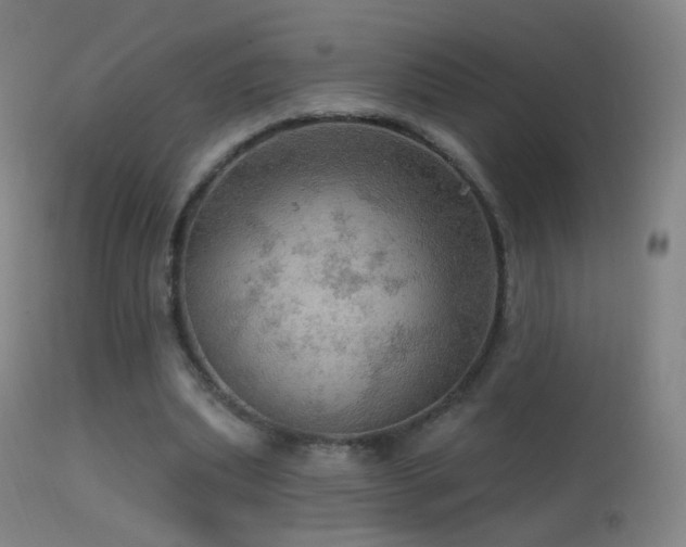 X0000114650439200910201512