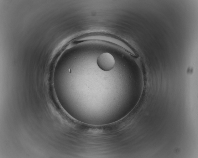 X0000114650440200910201512