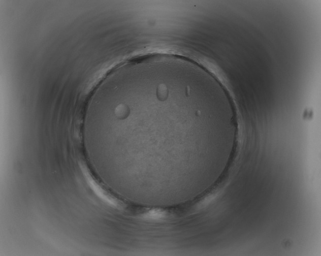 X0000114650441200910201512