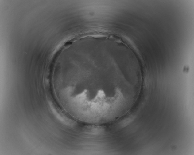 X0000114650443200910201512