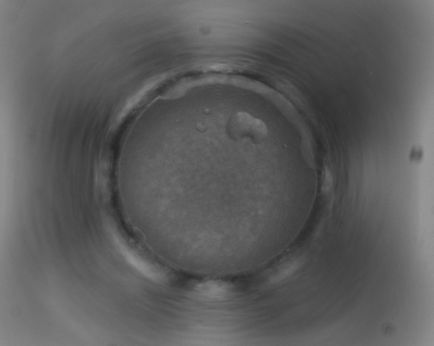 X0000114650444200910201512