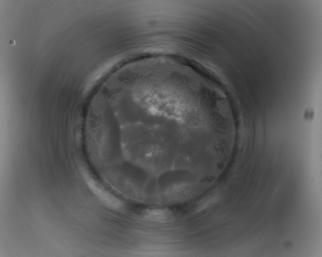 X0000114650446200910201512