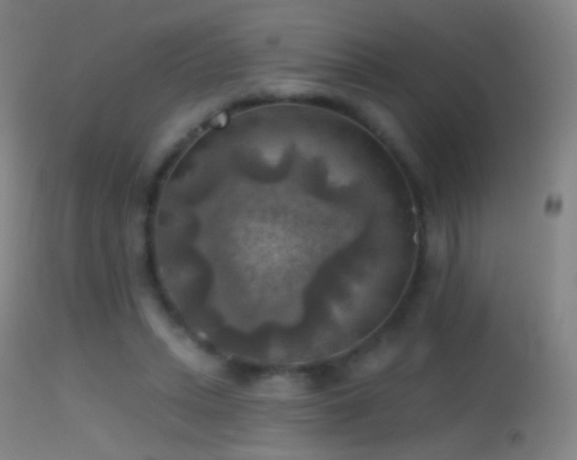 X0000114650447200910201512