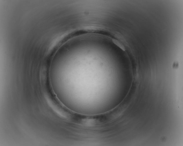 X0000114650448200910201512