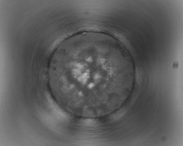 X0000114650449200910201512