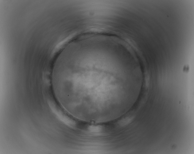 X0000114650450200910201512