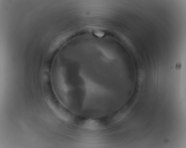 X0000114650451200910201512