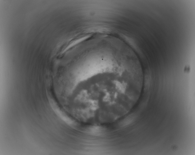 X0000114650453200910201512