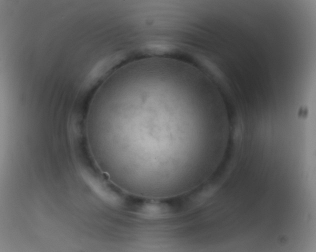 X0000114650455200910201512