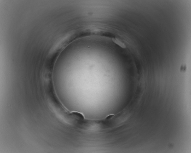 X0000114650456200910201512