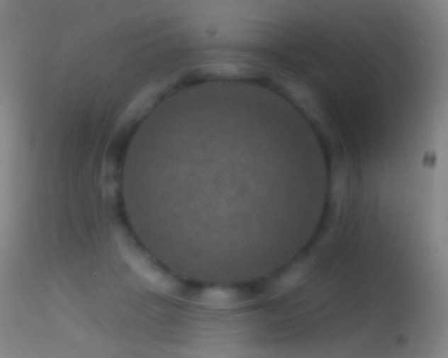 X0000114650457200910201512