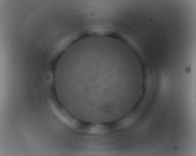 X0000114650459200910201512