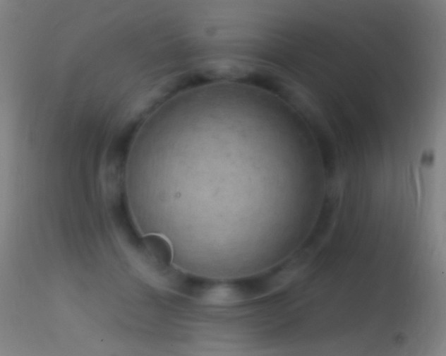 X0000114650460200910201512