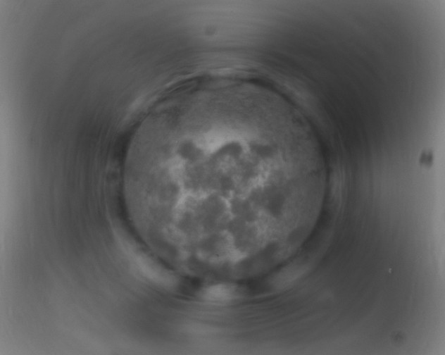 X0000114650461200910201512