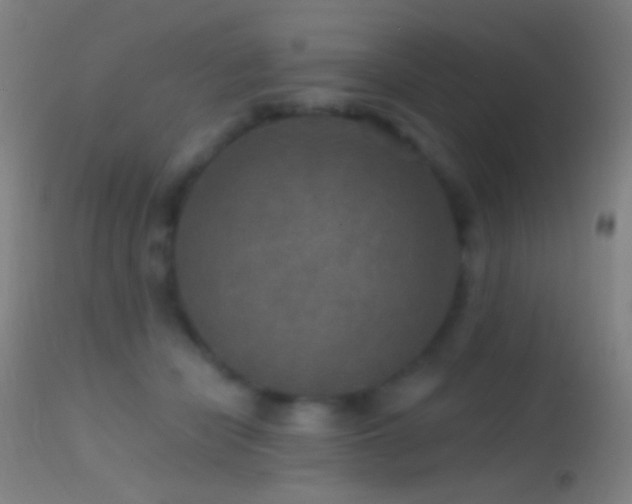 X0000114650462200910201512