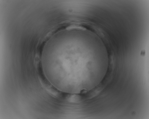 X0000114650463200910201512