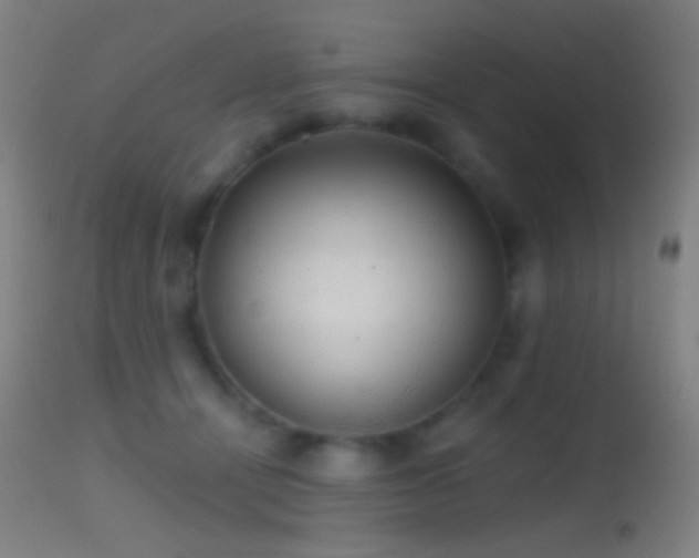 X0000114650464200910201512