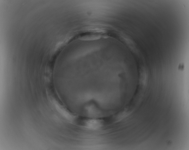 X0000114650465200910201512