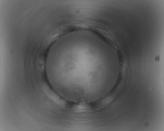 X0000114650466200910201512