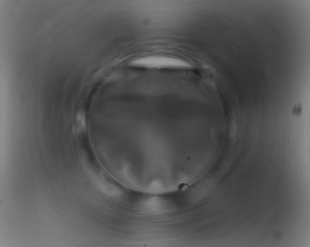 X0000114650467200910201512