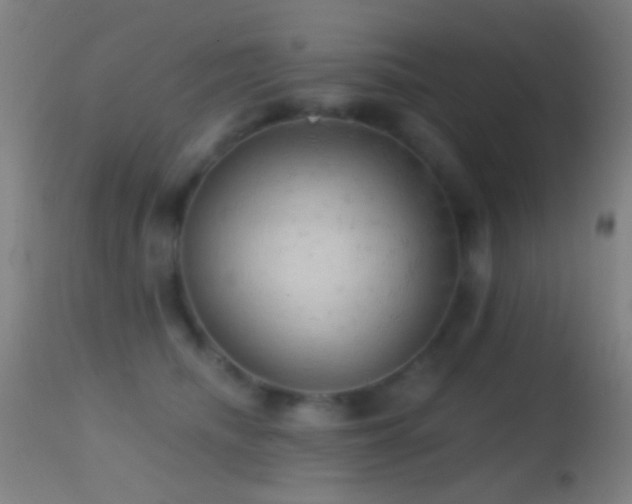 X0000114650468200910201512