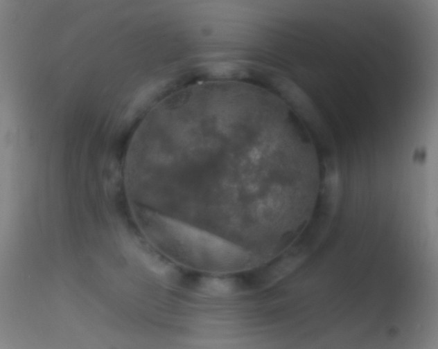 X0000114650469200910201512