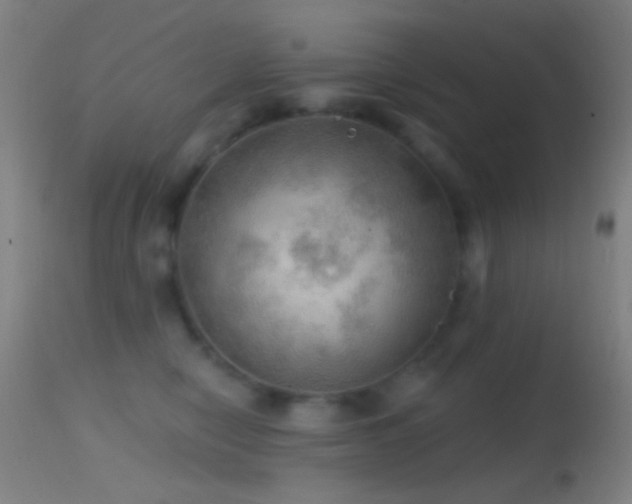 X0000114650470200910201512