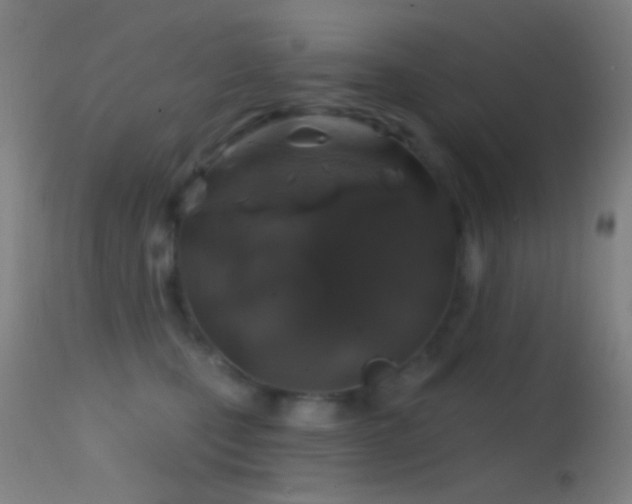 X0000114650471200910201512