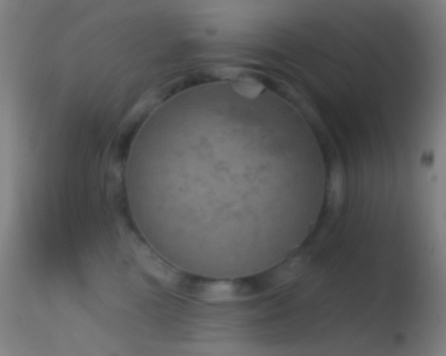 X0000114650473200910201512