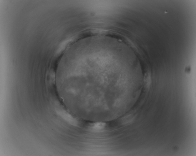 X0000114650474200910201512