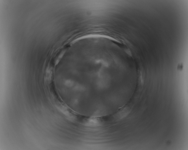 X0000114650475200910201512