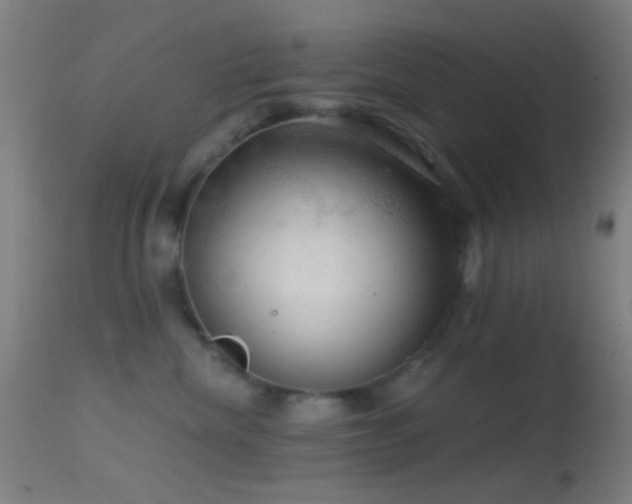 X0000114650476200910201512