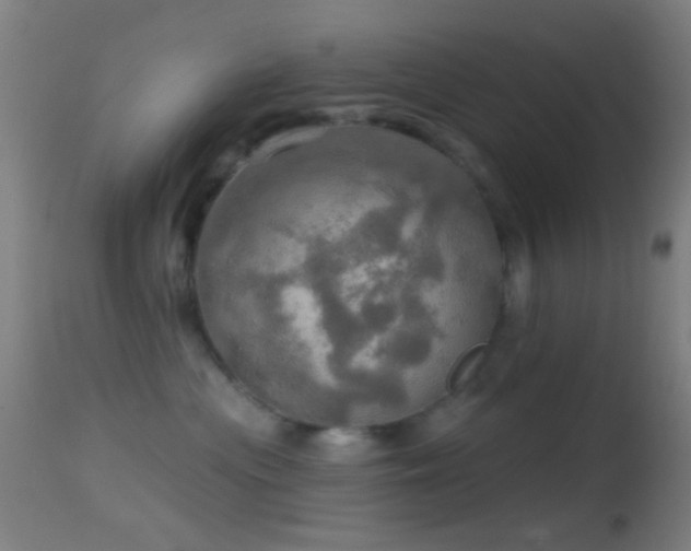 X0000114650477200910201512