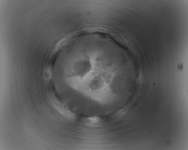 X0000114650478200910201512