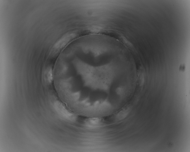 X0000114650479200910201512