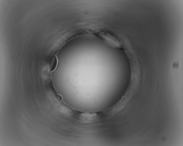 X0000114650480200910201512