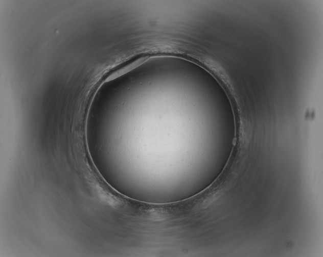 X0000114650481200910201512