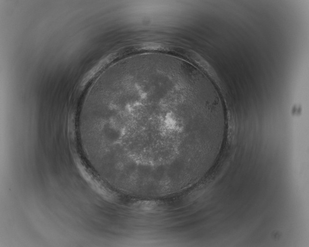 X0000114650482200910201512