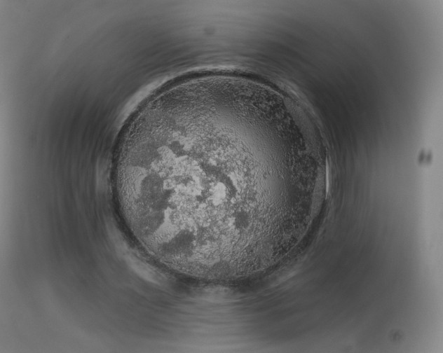 X0000114650483200910201512