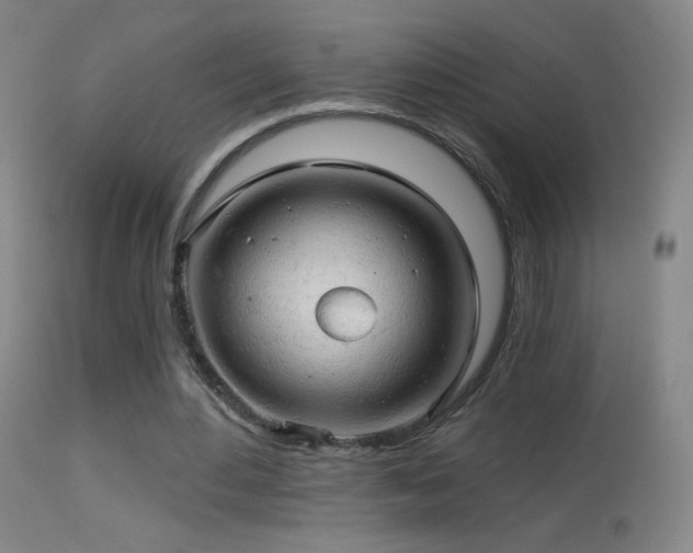 X0000114650484200910201512