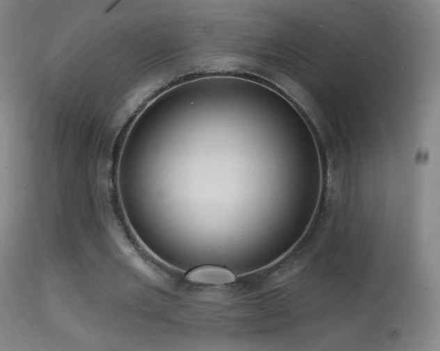 X0000114650485200910201512