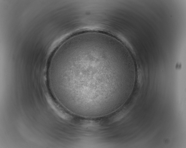 X0000114650486200910201512