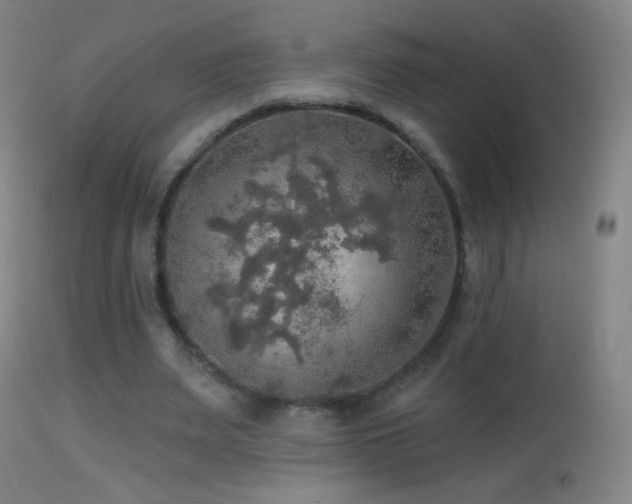 X0000114650487200910201512