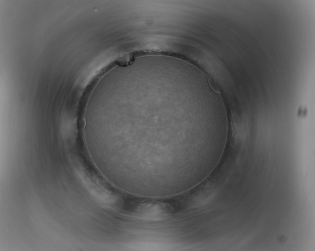 X0000114650488200910201512