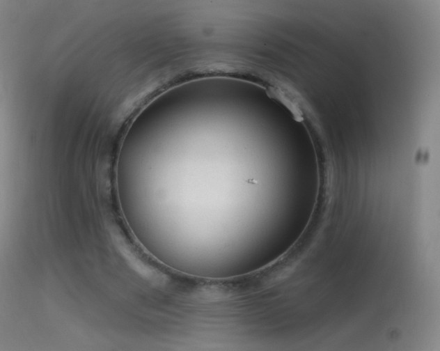 X0000114650489200910201512