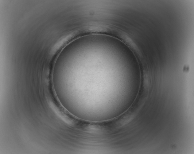 X0000114650490200910201512