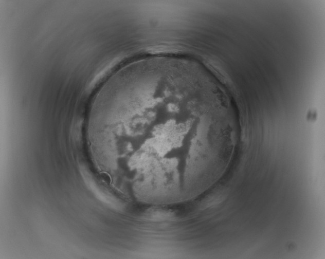 X0000114650491200910201512