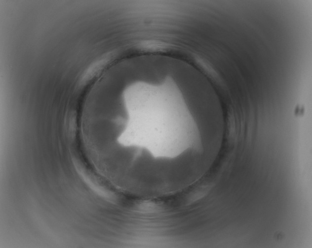 X0000114650494200910201511